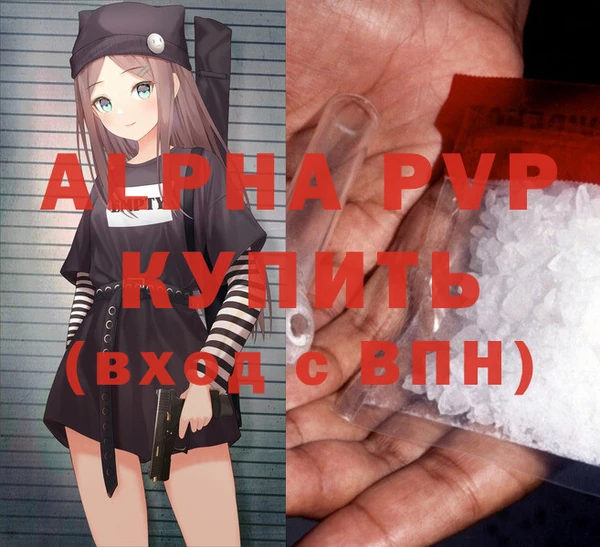 прущие грибы Белокуриха