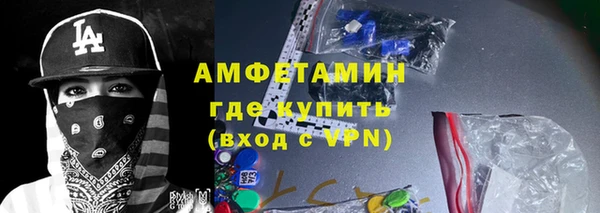 прущие грибы Белокуриха