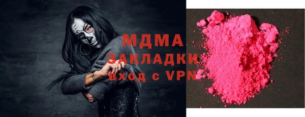 прущие грибы Белокуриха