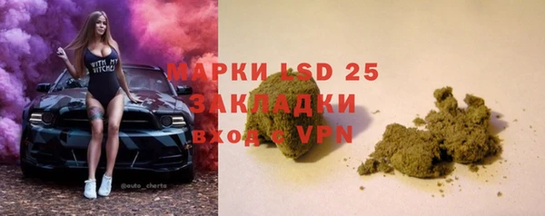 прущие грибы Белокуриха