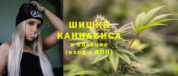 PSILOCYBIN Белоозёрский