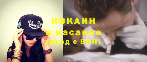 прущие грибы Белокуриха