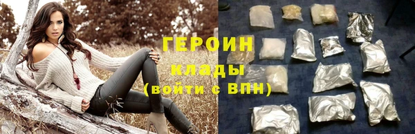 прущие грибы Белокуриха