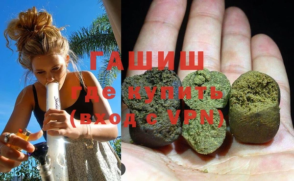 прущие грибы Белокуриха