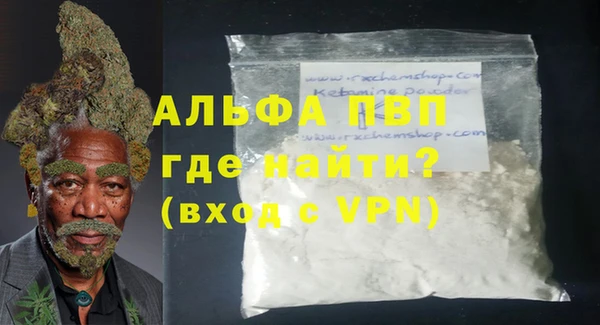 прущие грибы Белокуриха