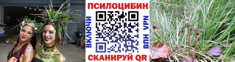 KRAKEN ТОР Шахунья Галлюциногенные грибы мухоморы